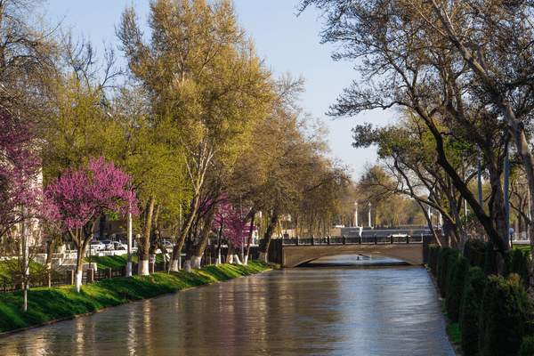 Tashkent International